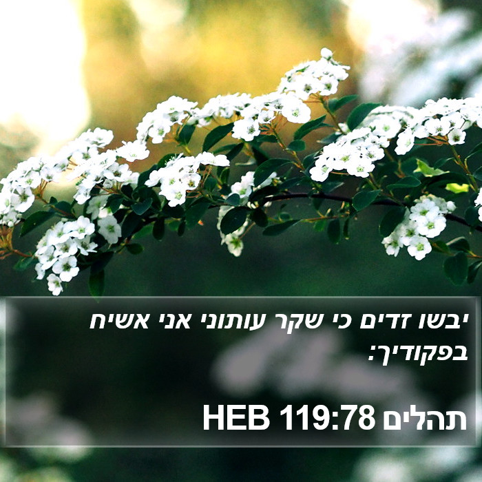 תהלים 119:78 HEB Bible Study