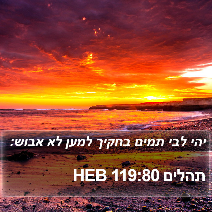 תהלים 119:80 HEB Bible Study