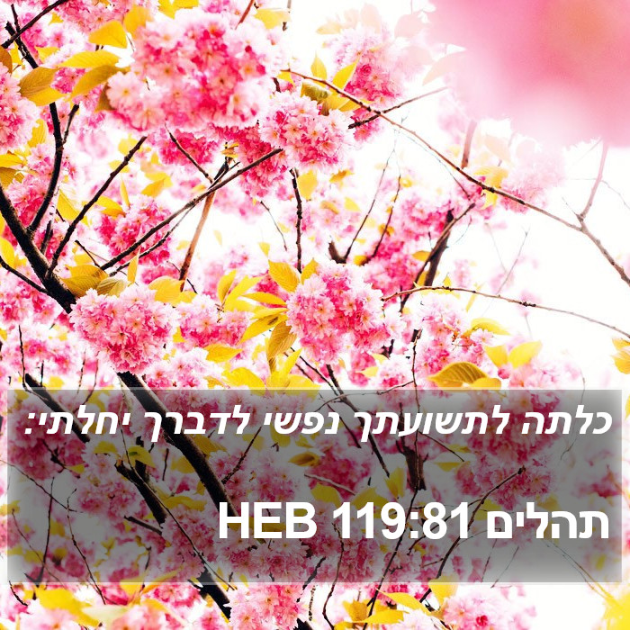 תהלים 119:81 HEB Bible Study