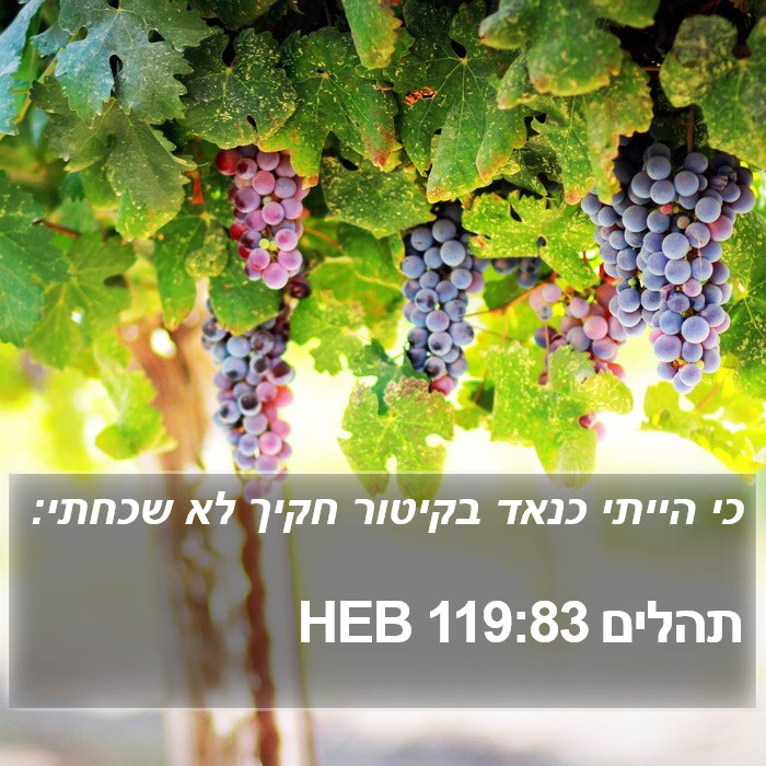 תהלים 119:83 HEB Bible Study