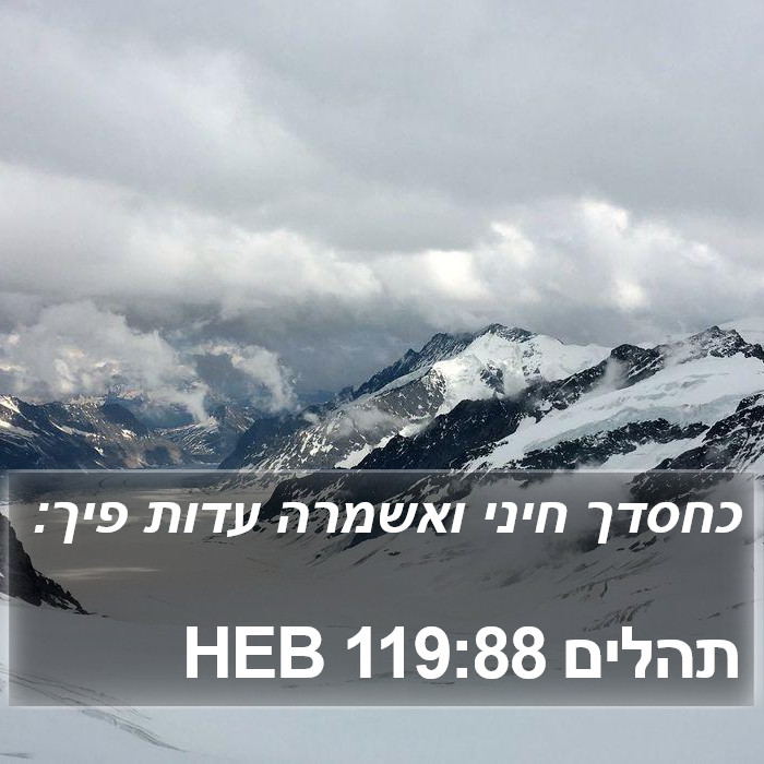 תהלים 119:88 HEB Bible Study