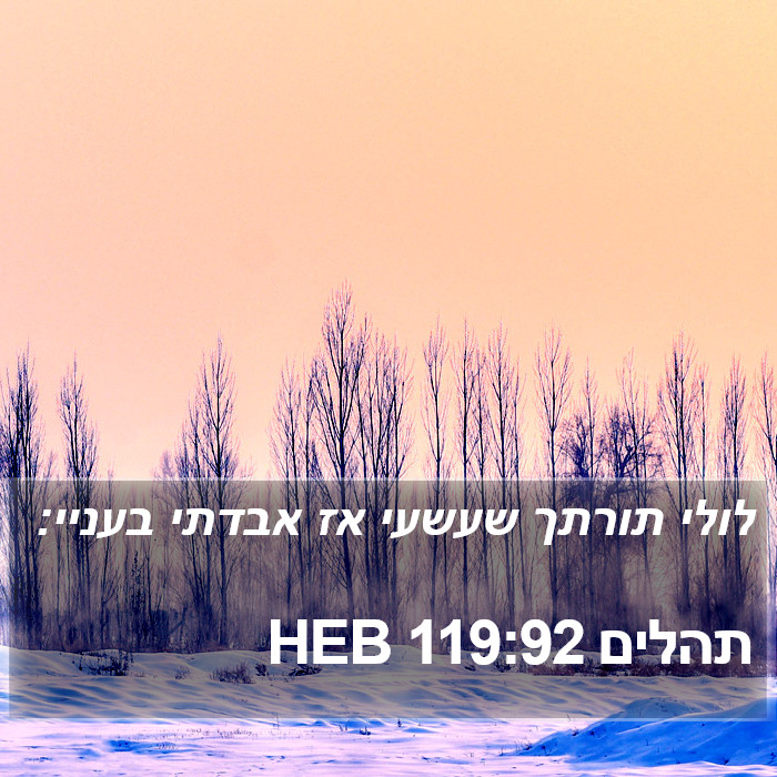 תהלים 119:92 HEB Bible Study