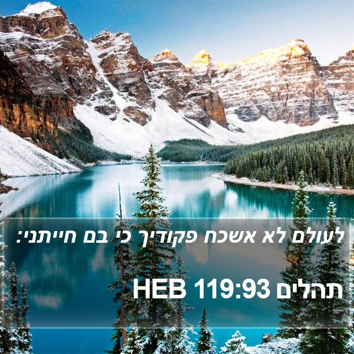 תהלים 119:93 HEB Bible Study