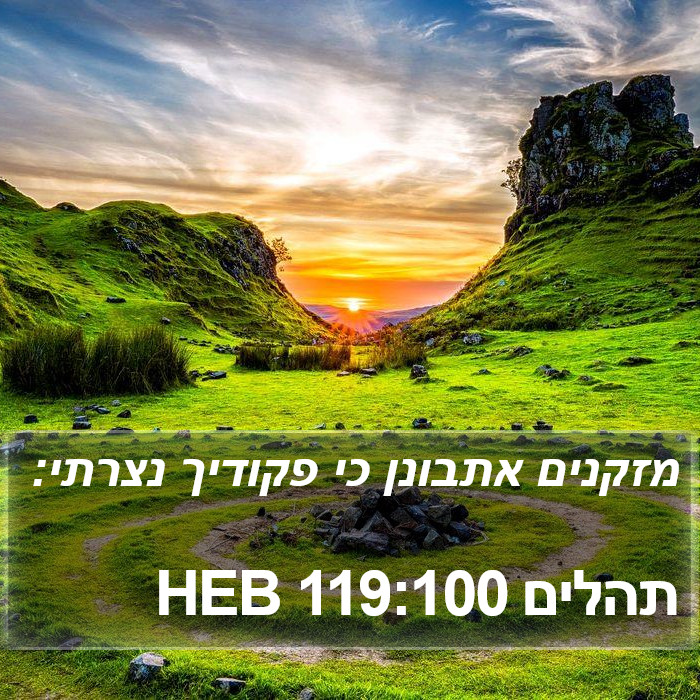 תהלים 119:100 HEB Bible Study