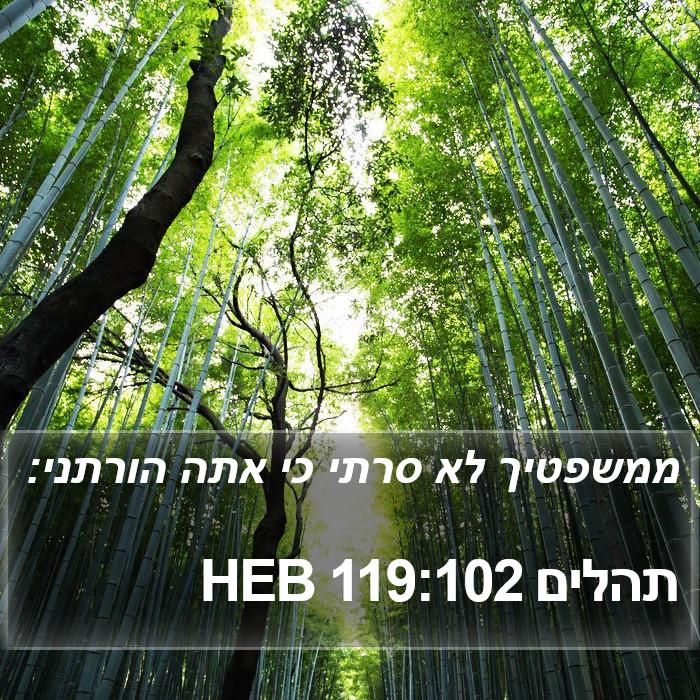 תהלים 119:102 HEB Bible Study