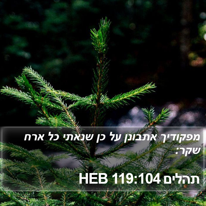 תהלים 119:104 HEB Bible Study