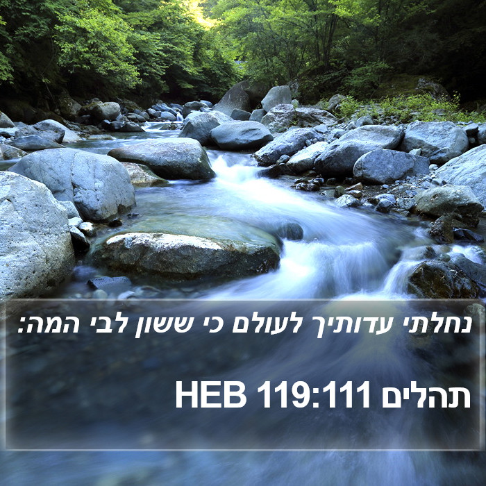 תהלים 119:111 HEB Bible Study