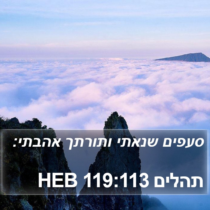 תהלים 119:113 HEB Bible Study