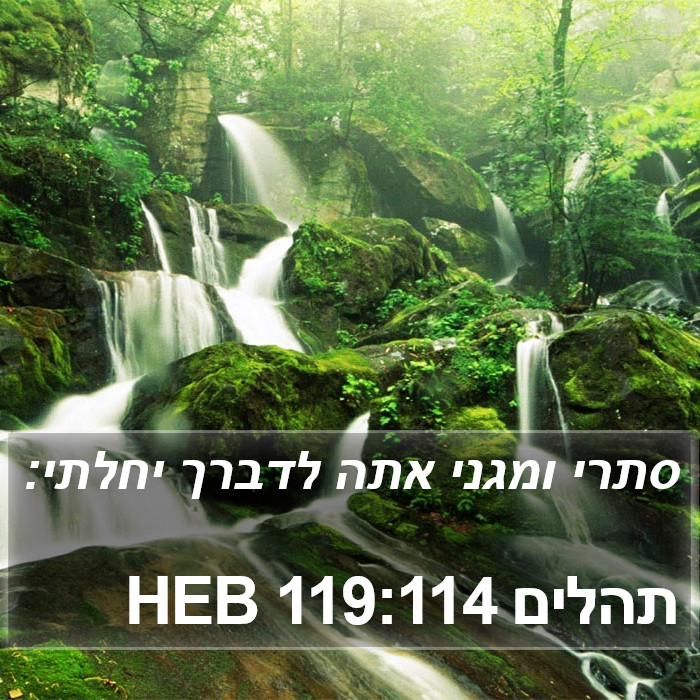 תהלים 119:114 HEB Bible Study