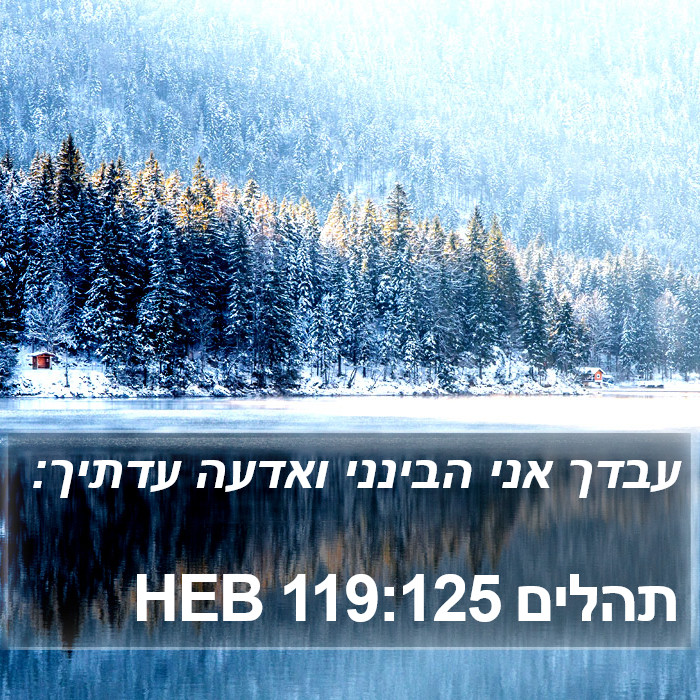 תהלים 119:125 HEB Bible Study