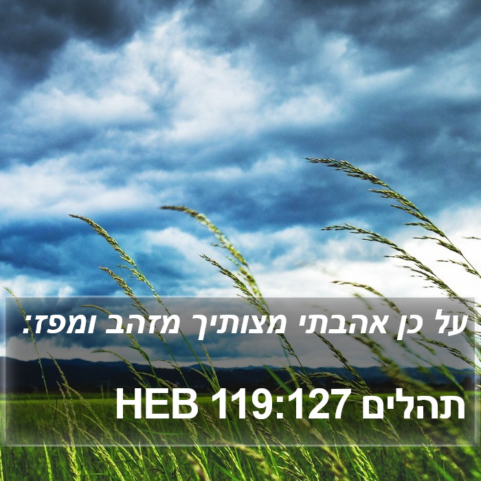 תהלים 119:127 HEB Bible Study