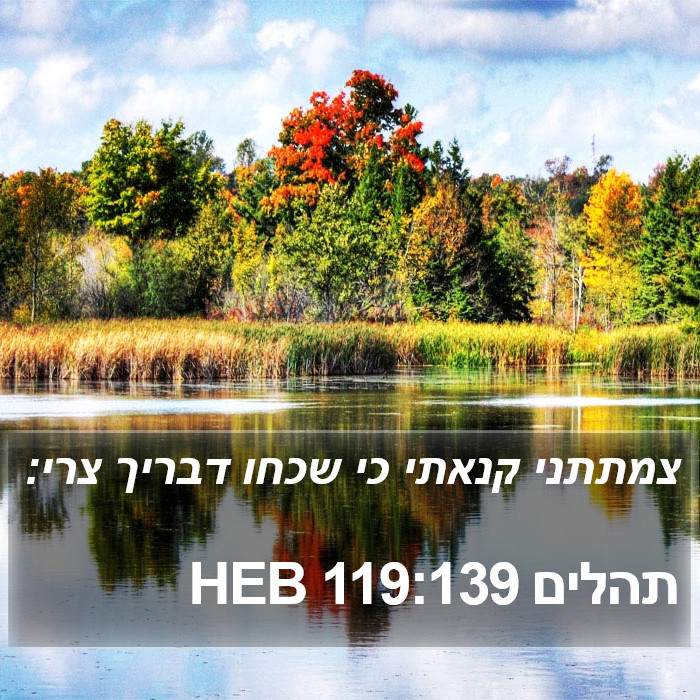 תהלים 119:139 HEB Bible Study