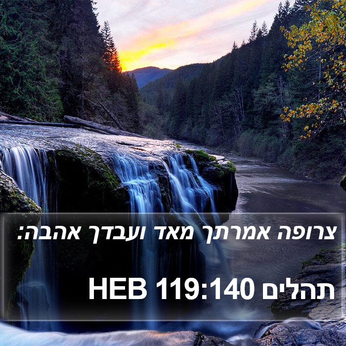 תהלים 119:140 HEB Bible Study