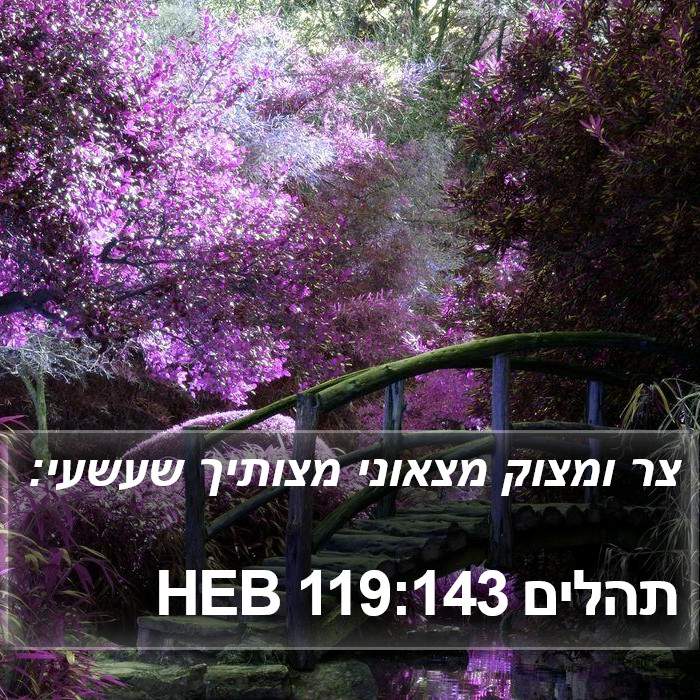 תהלים 119:143 HEB Bible Study