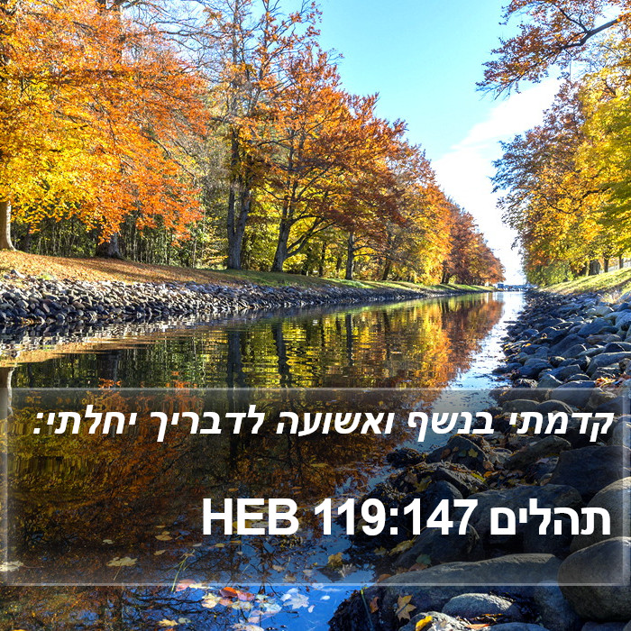 תהלים 119:147 HEB Bible Study