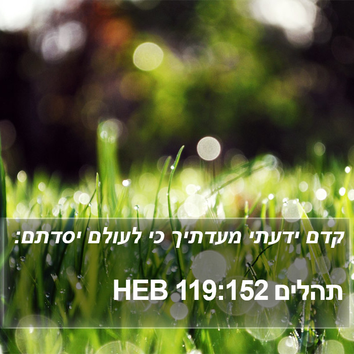 תהלים 119:152 HEB Bible Study