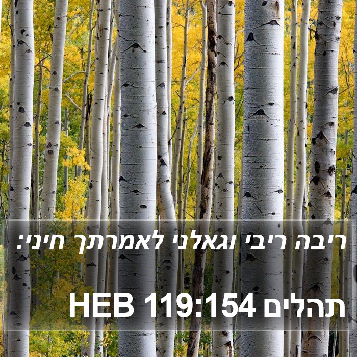 תהלים 119:154 HEB Bible Study