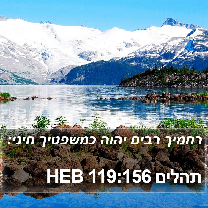 תהלים 119:156 HEB Bible Study