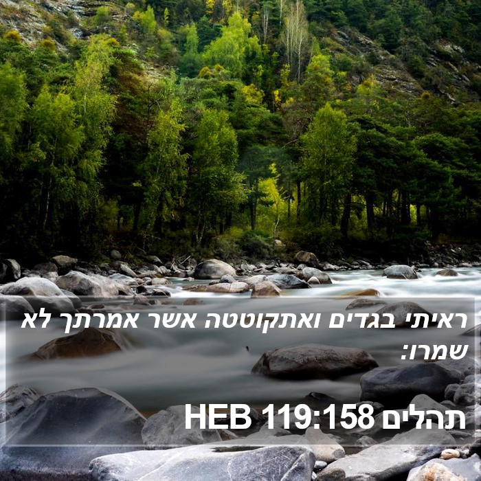 תהלים 119:158 HEB Bible Study