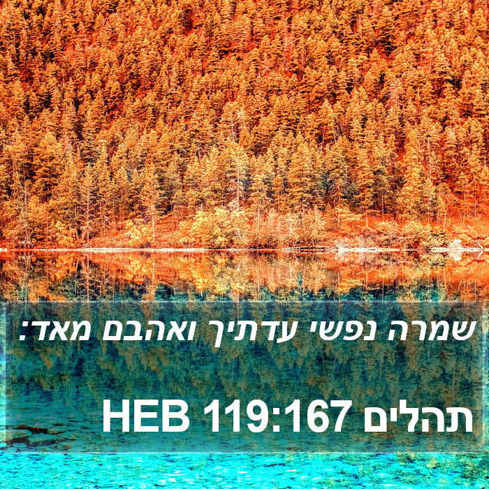 תהלים 119:167 HEB Bible Study