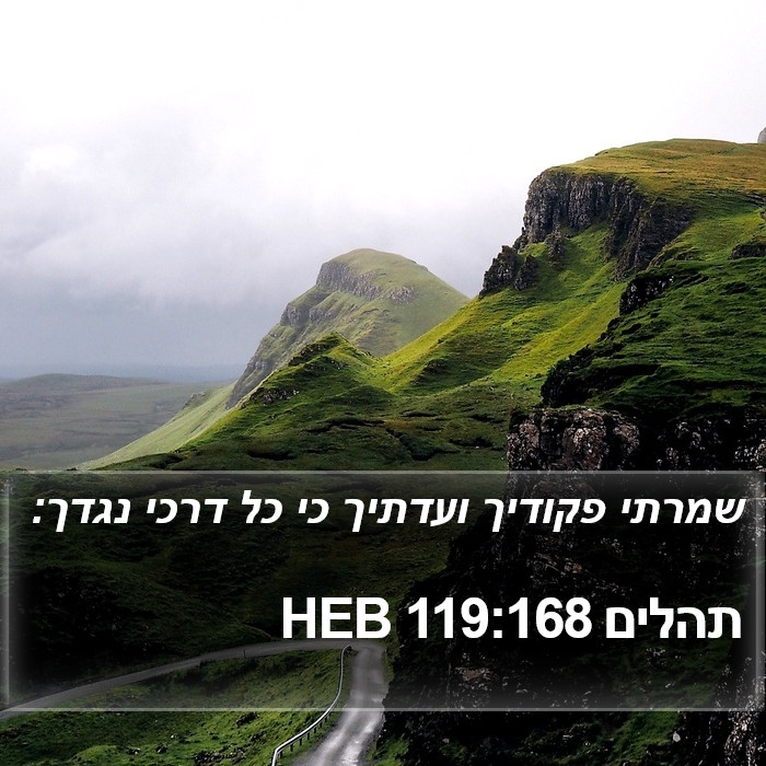 תהלים 119:168 HEB Bible Study