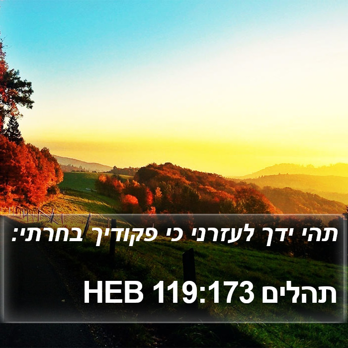 תהלים 119:173 HEB Bible Study