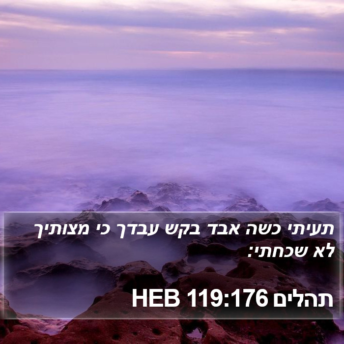 תהלים 119:176 HEB Bible Study