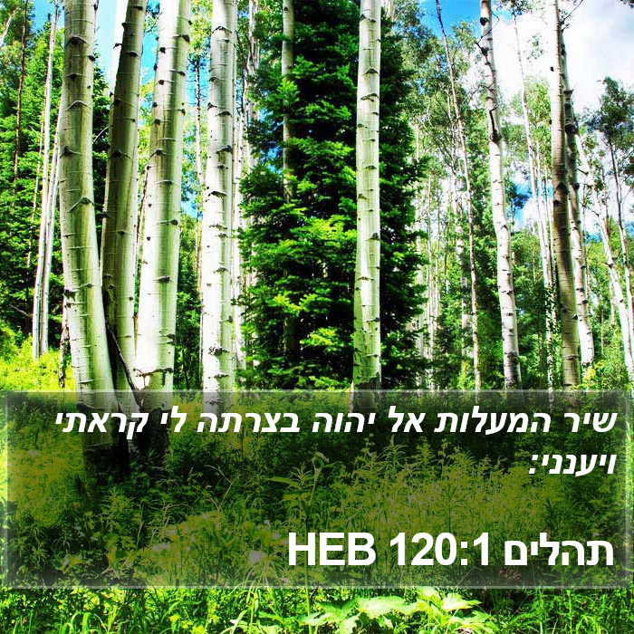 תהלים 120:1 HEB Bible Study