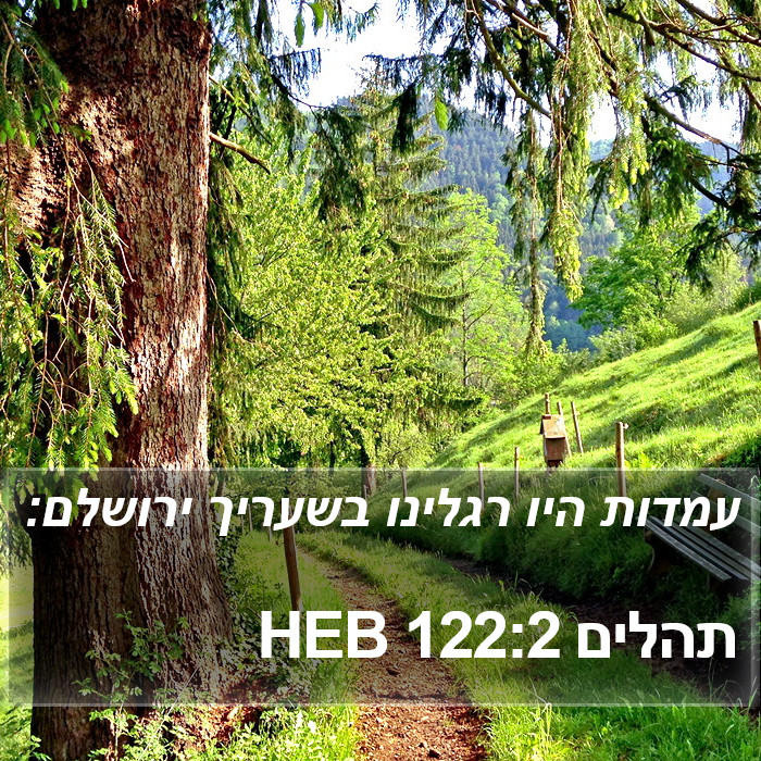 תהלים 122:2 HEB Bible Study