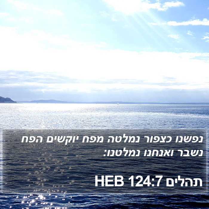 תהלים 124:7 HEB Bible Study