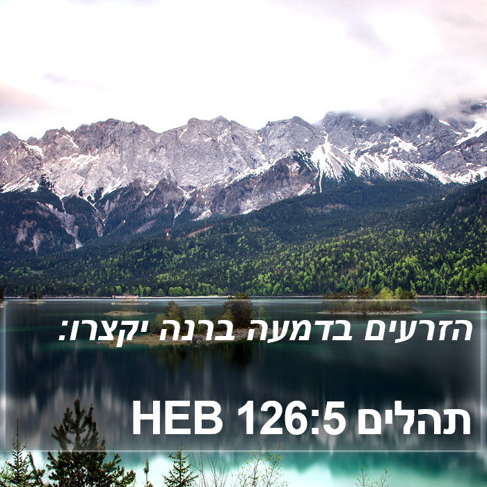 תהלים 126:5 HEB Bible Study