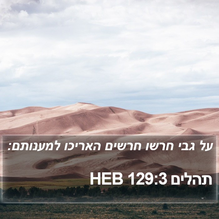 תהלים 129:3 HEB Bible Study