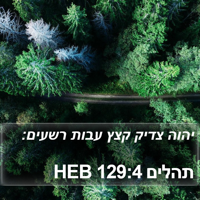 תהלים 129:4 HEB Bible Study