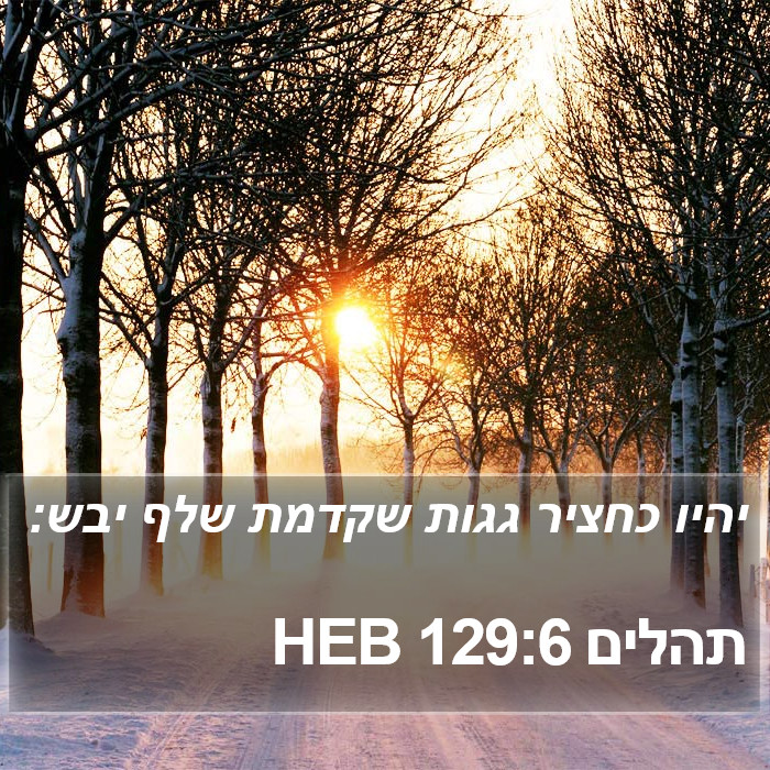 תהלים 129:6 HEB Bible Study