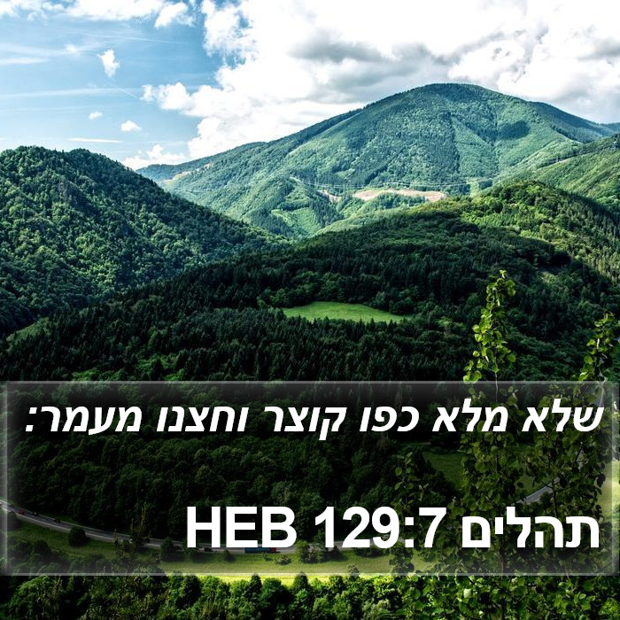 תהלים 129:7 HEB Bible Study