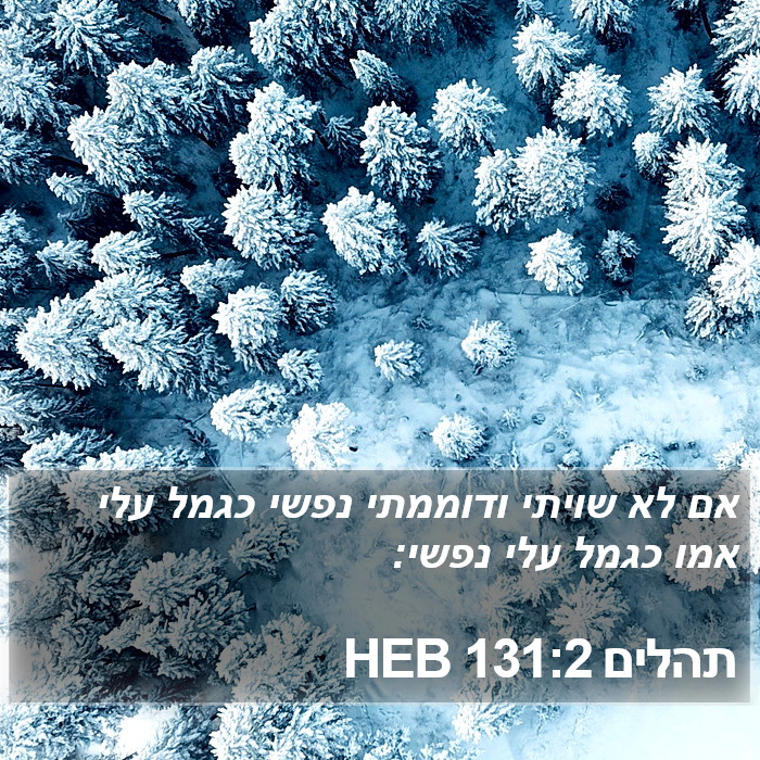 תהלים 131:2 HEB Bible Study