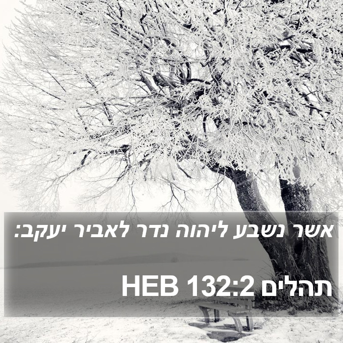 תהלים 132:2 HEB Bible Study