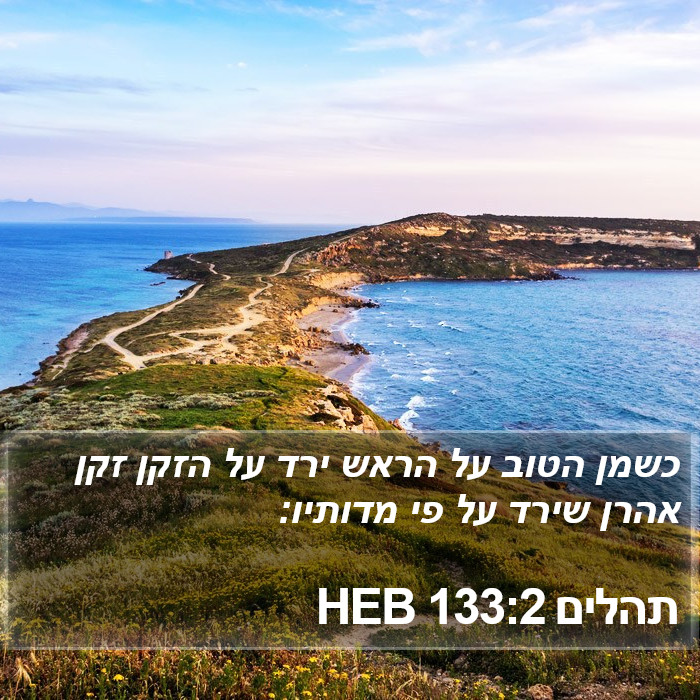 תהלים 133:2 HEB Bible Study