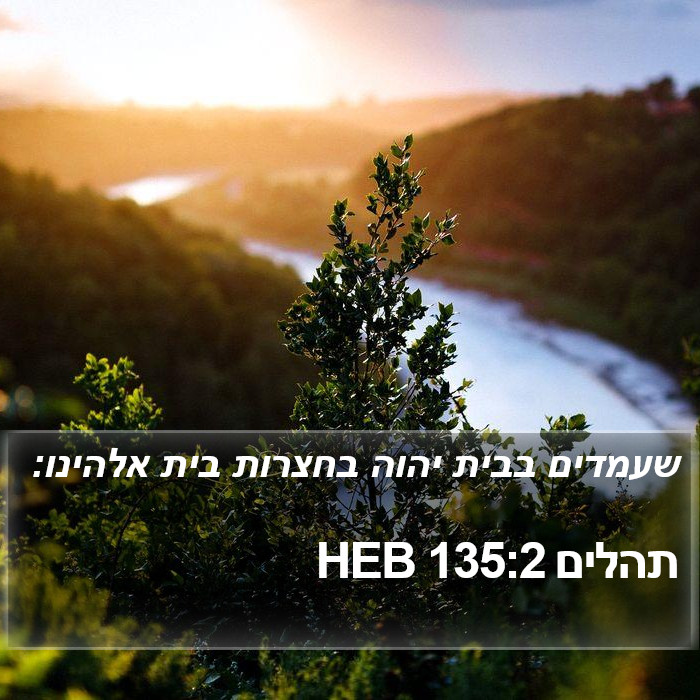 תהלים 135:2 HEB Bible Study