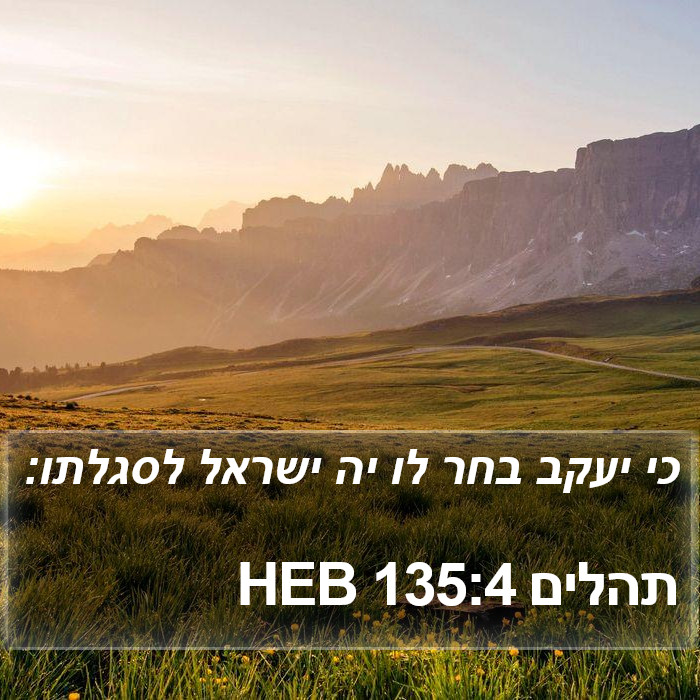 תהלים 135:4 HEB Bible Study