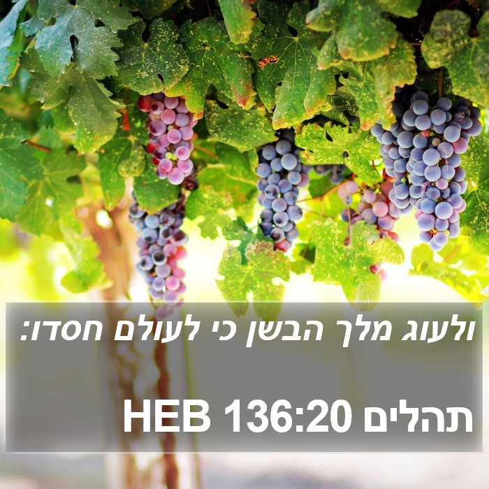 תהלים 136:20 HEB Bible Study