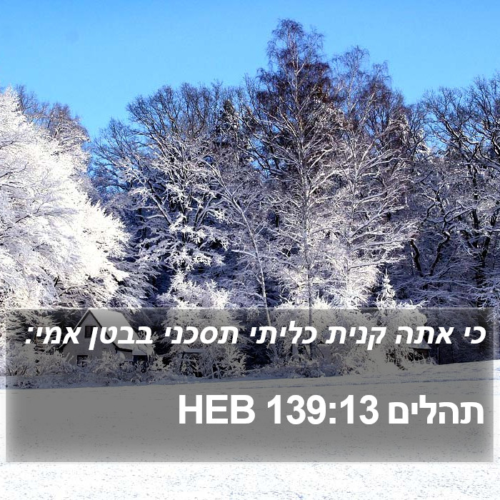 תהלים 139:13 HEB Bible Study