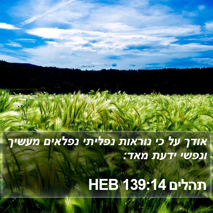 תהלים 139:14 HEB Bible Study