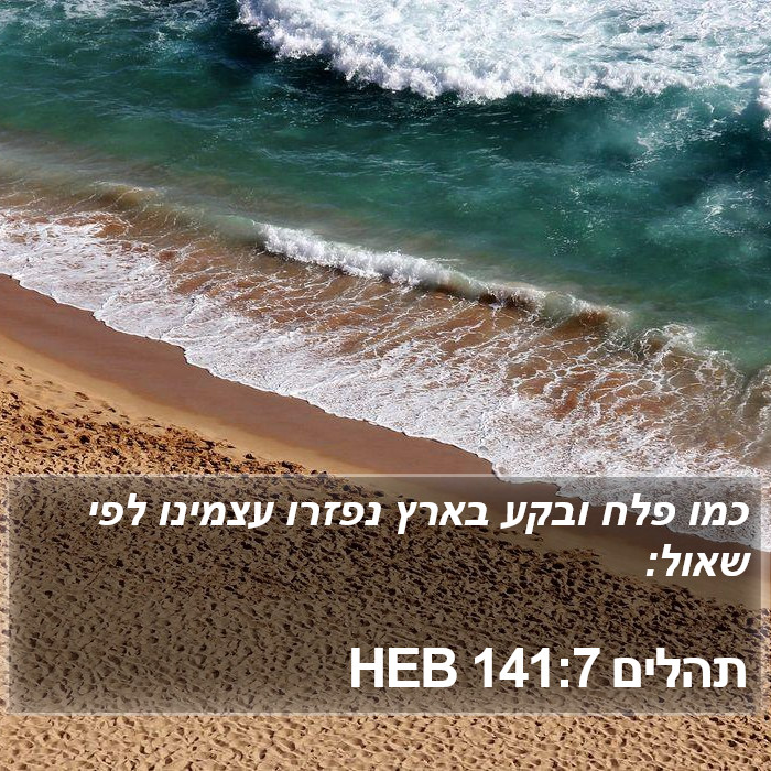 תהלים 141:7 HEB Bible Study