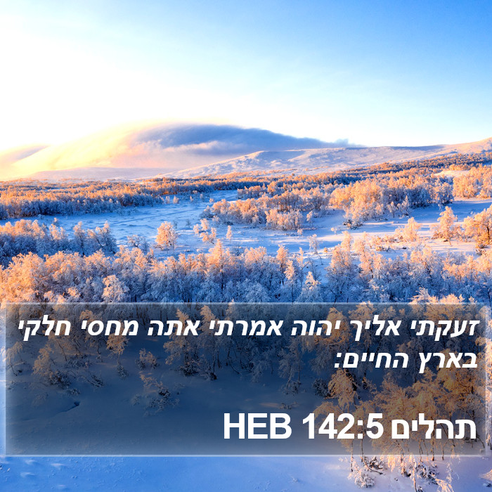 תהלים 142:5 HEB Bible Study