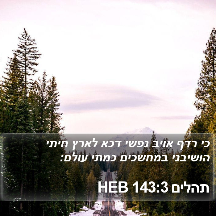 תהלים 143:3 HEB Bible Study