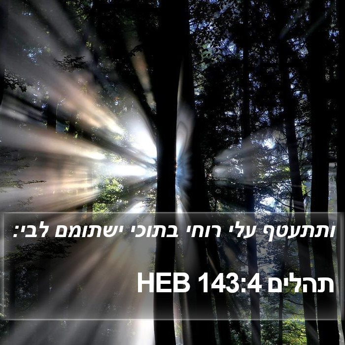 תהלים 143:4 HEB Bible Study