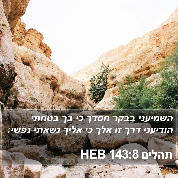 תהלים 143:8 HEB Bible Study