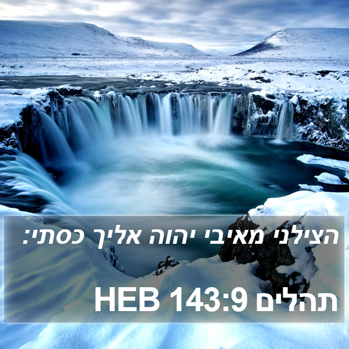 תהלים 143:9 HEB Bible Study