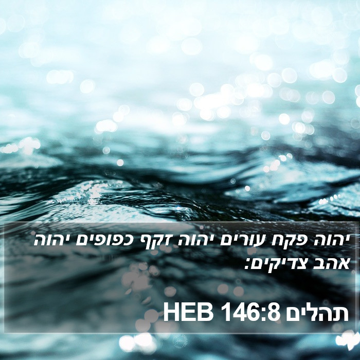 תהלים 146:8 HEB Bible Study